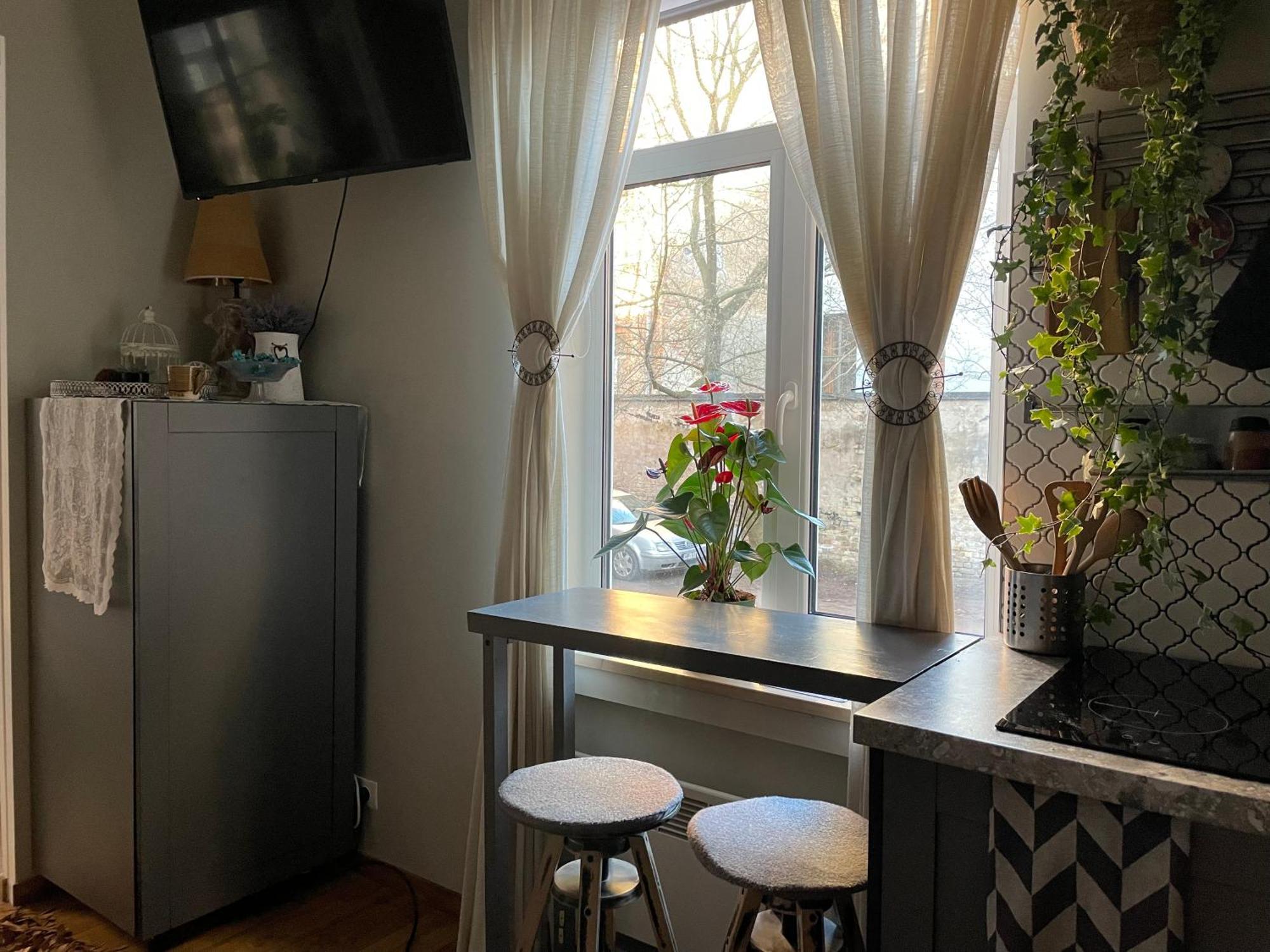 Pristine 1Br Apt In City Center W/ Patio And Parking รีกา ภายนอก รูปภาพ